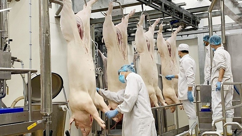 Xuất khẩu ngày 29/10-1/11: Đường nhập khẩu 'né thuế' ồ ạt tràn vào Việt Nam; Cảnh báo sớm, giảm thiểu rủi ro cho doanh nghiệp xuất khẩu