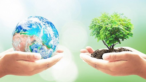 Các đối tác cam kết 665 triệu USD để hỗ trợ phục hồi xanh cho ASEAN