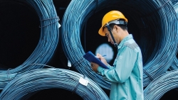 Vận dụng hiệu quả công cụ phòng vệ thương mại trên các 'sân chơi' FTA