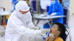 Covid-19 tối 14/11: Có 8.176 ca mới, 3.947 ca nặng; TP. Hồ Chí Minh giảm số ca nhiễm, nhiều tỉnh thành phía Nam tăng số mắc