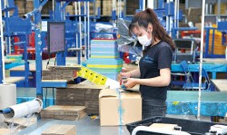 Bất chấp đại dịch khó lường, doanh nghiệp Việt vẫn 'chốt đơn' hàng trăm triệu USD vốn ngoại