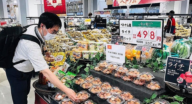 Dấu ấn hợp tác kinh tế, thương mại Việt Nam - Nhật Bản