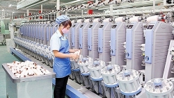 Xuất khẩu ngày 22-26/11: Kết quả tích cực từ EVFTA; cá tra vẫn gặp khó; giải 'bài toán' phòng vệ thương mại