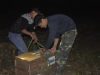 25 ca the te te quy hiem duoc tha ve rung