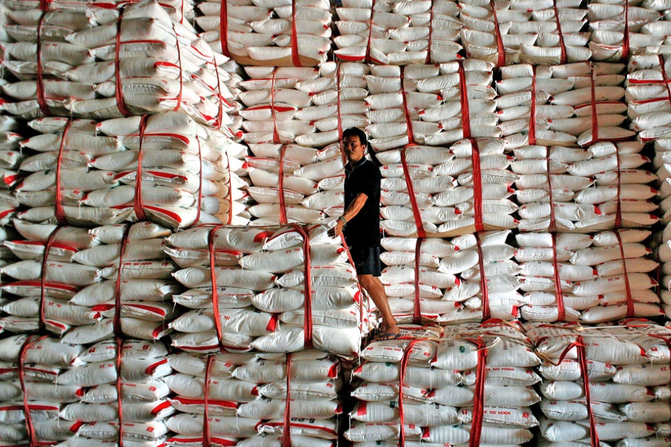 Nghịch lý ngành mía đường Thái Lan nghich ly nganh mia duong thai lan