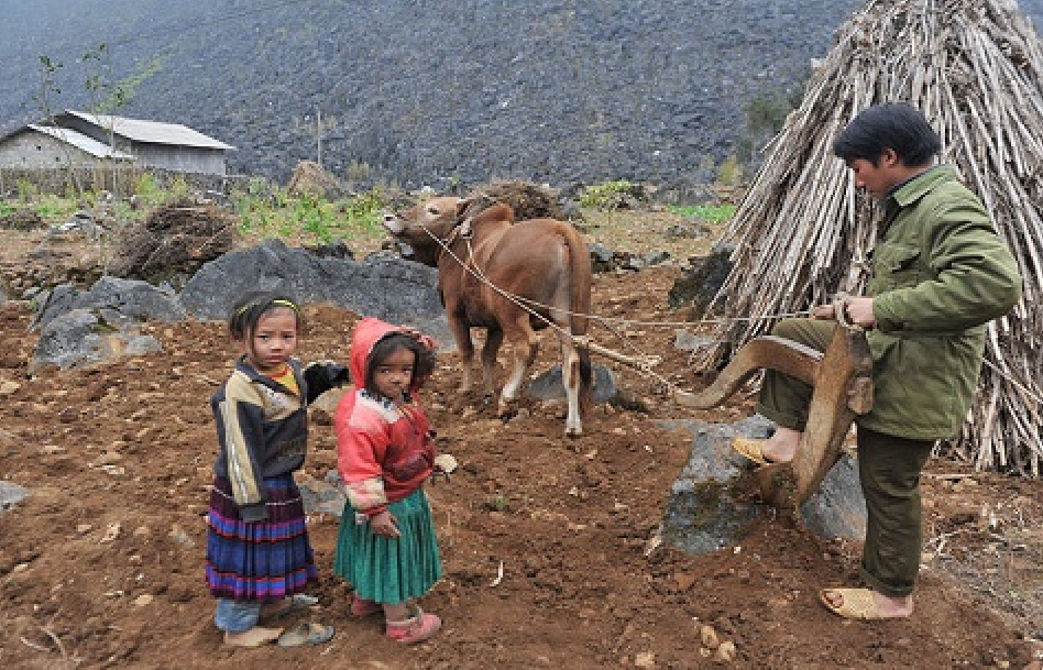 Tỷ lệ nghèo cùng cực tại Việt Nam giảm mạnh