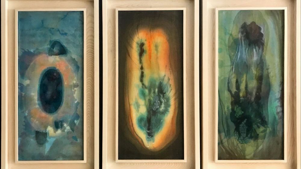 Khám phá vẻ đẹp của tự nhiên qua Triển lãm 'Vùng sống'