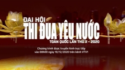 Đại hội Thi đua yêu nước toàn quốc lần thứ X: Giao lưu 'Những tấm gương điển hình tiên tiến'