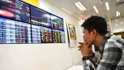 Thị trường chứng khoán ngày 10/12: Càng về cuối phiên càng giảm điểm