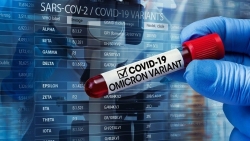 Kinh tế toàn cầu tiếp tục bị 'phủ mây đen', giới doanh nghiệp phản ứng ra sao trước Omicron?