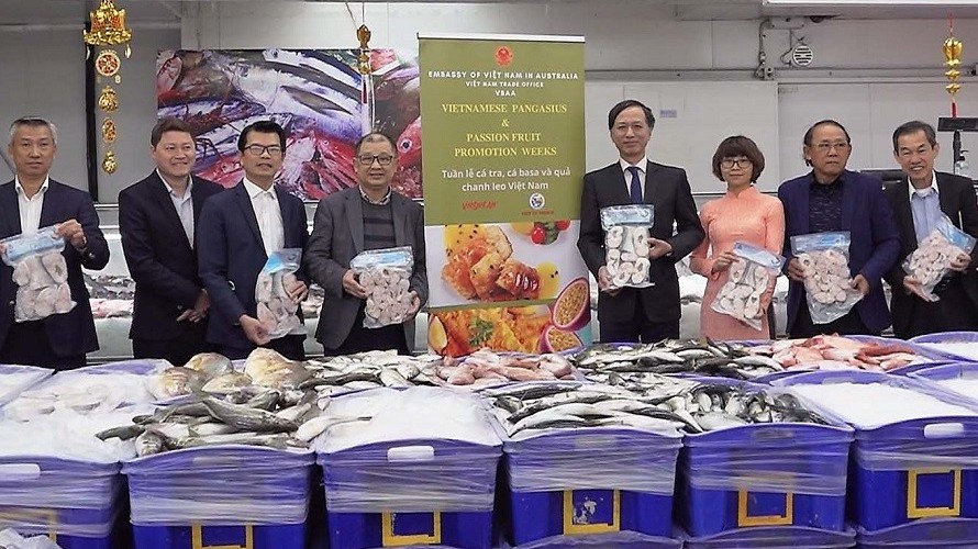 Cá tra, cá basa Việt Nam lên gian hàng trực tuyến tại thị trường Australia