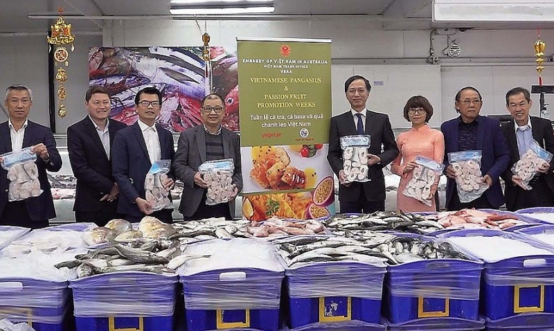 Cá tra, cá basa Việt Nam lên gian hàng trực tuyến tại thị trường Australia