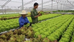 Để Việt Nam 'đẹp hơn' trong mắt các nhà đầu tư Australia