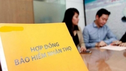 SSI Research: Lợi nhuận của các doanh nghiệp bảo hiểm nhân thọ đang chịu áp lực