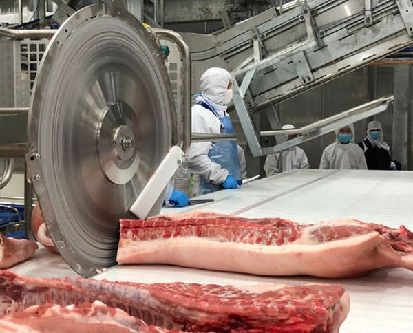 Giá heo hơi hôm nay 19/3: Giá heo hơi thấp không phải do lượng cung thừa, nhiều quốc gia cũng đang trên đà giảm mạnh Giá heo hơi hôm nay 19/3: Giá heo hơi thấp không phải do lượng cung thừa, nhiều quốc gia cũng đang trên đà giảm mạnh