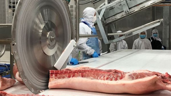 Giá heo hơi hôm nay 3/9 đồng loạt chững giá, Trung Quốc hướng tới việc kiềm chế 'nuôi béo thứ cấp'