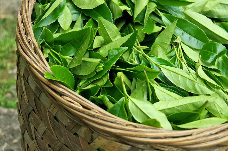 Xuất khẩu ngày 9-11/1: Rau quả 'lỡ hẹn' mục tiêu 4 tỷ USD, Xuất khẩu ngày 9-11/1: Rau quả 'lỡ hẹn' mục tiêu 4 tỷ USD,