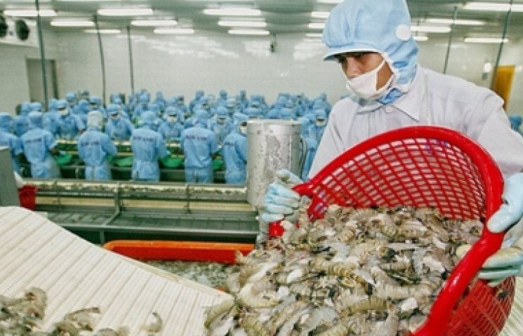 Xuất khẩu tôm hướng đến mục tiêu 4,2 tỷ USD năm 2019