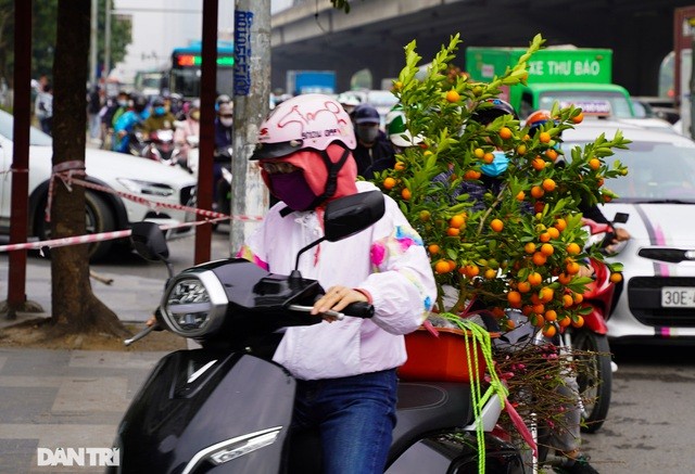 Thời điểm cuối năm cũng là lúc người dân đổ xô đi sắm cây cảnh như: Đào, quất, hoa lan, hoa hồng... về trưng Tết. 