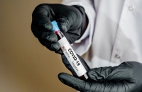 nguoi viet tai phap tiep tuc ung ho viet nam chong dich covid 19