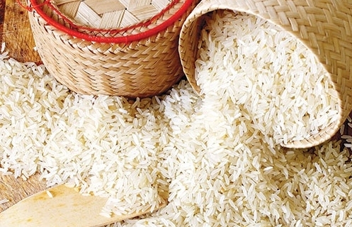 Cuộc “tìm kiếm Pokemon” về dữ liệu gạo của Indonesia