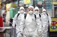 trung quoc 700000 cay anh dao no hoa dong loat giua thoi diem dich benh covid 19 hoanh hanh