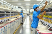 lay thuoc do la su hai long cua nguoi dan quang ninh but pha ngoan muc ve chi so papi 2019