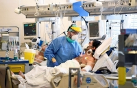 viet nam italy chung tay chong dich covid 19 tinh than san sang se chia lu c gian kho