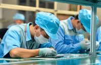 Khuyến cáo doanh nghiệp Việt Nam kinh doanh với doanh nghiệp Morocco