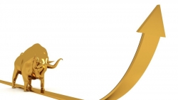 Giá vàng hôm nay 18/5: Đúng như dự báo, vàng nhanh chóng vượt 1.850 USD, điều gì tiếp theo?