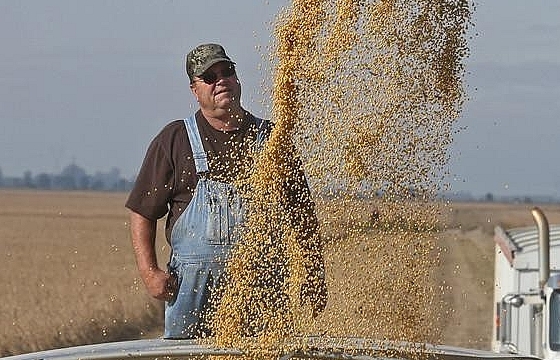 Chuyên gia Trung Quốc hoài nghi về kế hoạch 'giải cứu' nông dân của ông Trump