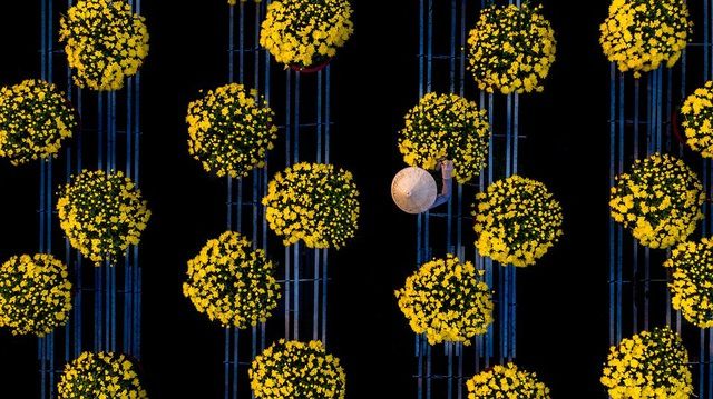 khoanh khac dep nhat mua xuan nam 2020 goi ten nhiep anh gia viet nam