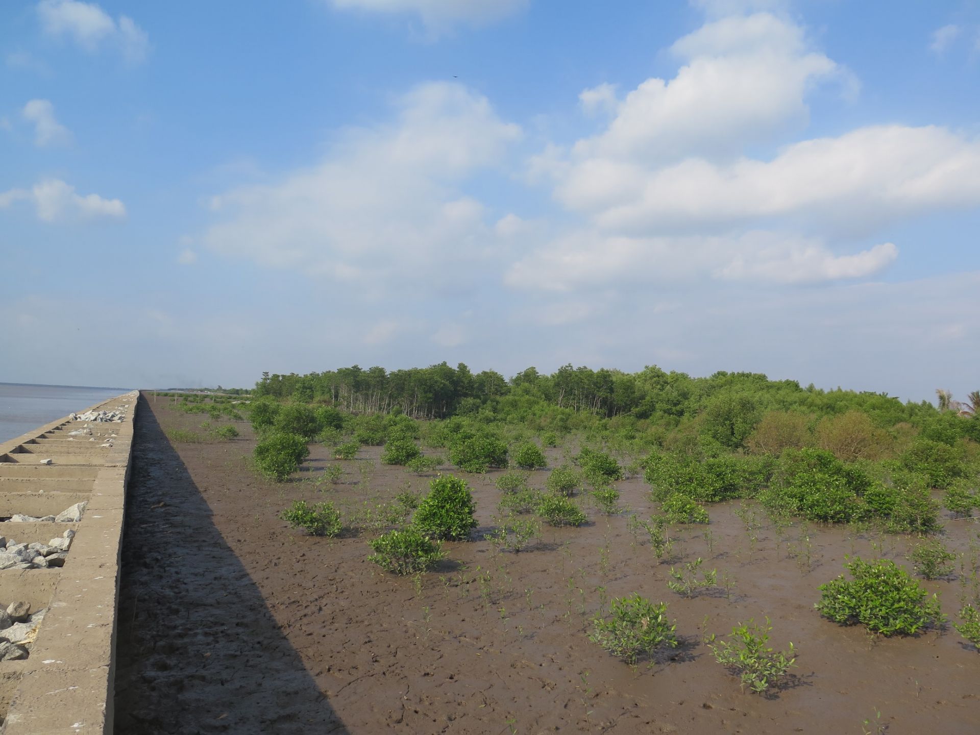 eu ho tro viet nam tang cuong kha nang chong chiu va quan ly nuoc tai nguyen thien nhien