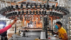 Covid-19 ở Ấn Độ - Đòn đánh mạnh tới nhiều ngành công nghiệp quan trọng toàn cầu