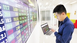 Ở nhà chống dịch Covid-19, người Việt lũ lượt đổ tiền vào chứng khoán