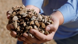 Đức cần đất hiếm của Trung Quốc hơn cả khí đốt Nga