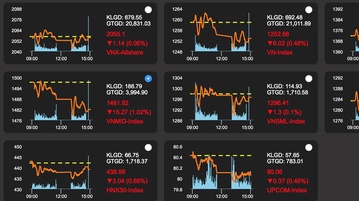 Thị trường chứng khoán: Chiến thắng đang không dành cho số đông?
