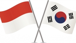 Hàn Quốc, Indonesia nhất trí mở rộng quan hệ kinh tế và tìm kiếm tăng trưởng xanh