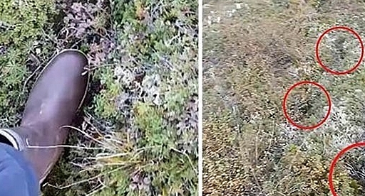 Hàng loạt dấu chân khổng lồ kì lạ xuất hiện tại Mỹ