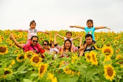 Nghệ An thực hiện du lịch an toàn thời hậu dịch Covid-19