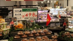 Lần đầu tiên vải thiều tươi Việt Nam có mặt tại tỉnh Kagoshima, Nhật Bản