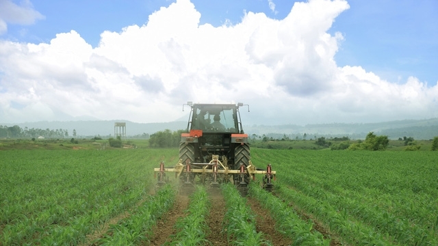 Siêu dự án trang trại của Vinamilk tại Lào sẽ 'cho sữa' vào đầu năm 2022