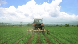 Siêu dự án trang trại của Vinamilk tại Lào sẽ 'cho sữa' vào đầu năm 2022