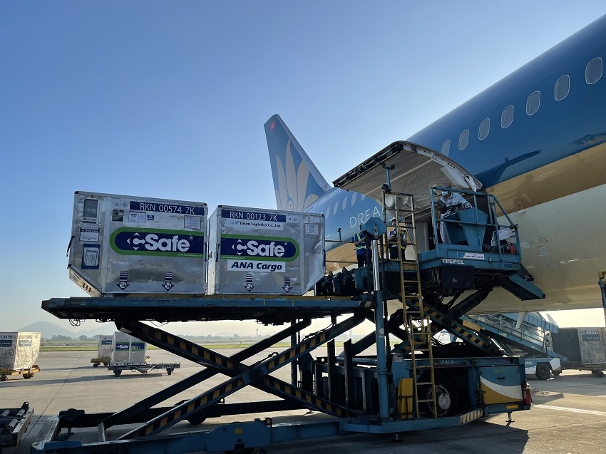 Gần 1000 liều Vắc xin được Vietnam Airline vận chuyển hoàn toàn miễn phí trên chuyến chuyến bay mang số hiệu VN207 cất cánh lúc 7g sáng ngày 17/6 (Ảnh: VNA) Gần 1000 liều Vắc xin được Vietnam Airline vận chuyển hoàn toàn miễn phí trên chuyến chuyến bay mang số hiệu VN207 cất cánh lúc 7g sáng ngày 17/6 (Ảnh: VNA)