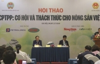 nhat ban keu goi brunei phe chuan hiep dinh cptpp