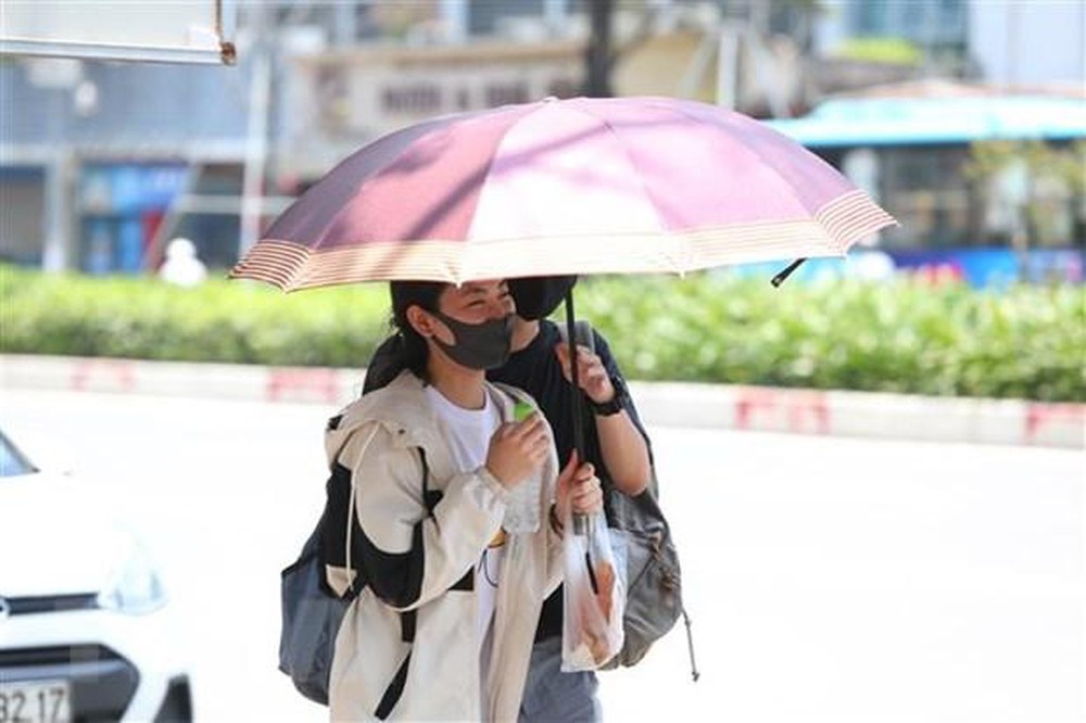 3856 b45bb7cad7893ed76798