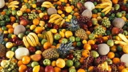 Xuất khẩu ngày 3-5/7: Nông sản bội thu giữa đại dịch, gạo Việt đón tin vui, một mặt hàng xuất khẩu chủ lực giảm mạnh