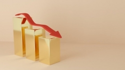 Giá vàng hôm nay 21/12, Giá vàng quay đầu, SJC ngược chiều, áp lực từ nhiều 'bóng ma', lý do để xuống tiền?