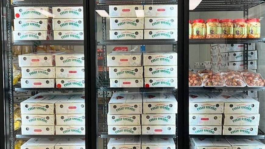 Vải thiều tươi Việt Nam 'đi máy bay' sang Australia, bán giá nửa triệu đồng/kg