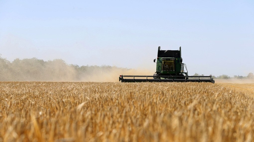 Thỏa thuận lương thực Nga-Ukraine: Moscow tiết lộ thành phần quan trọng trên thực địa, Kiev khoe tiềm năng